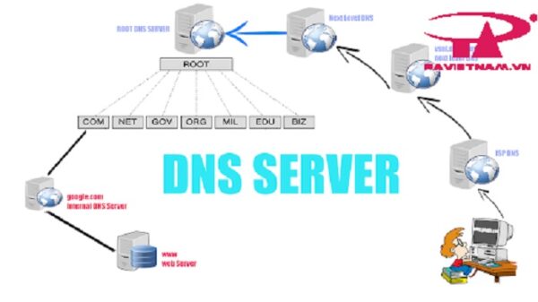 DNS là gì? Tìm hiểu các loại DNS phổ biến nhất hiện nay